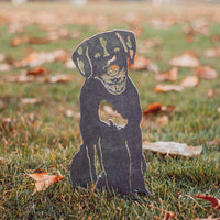 Wirehaired Pointing Griffon Corten Steel Outdoor Silhouette - Large