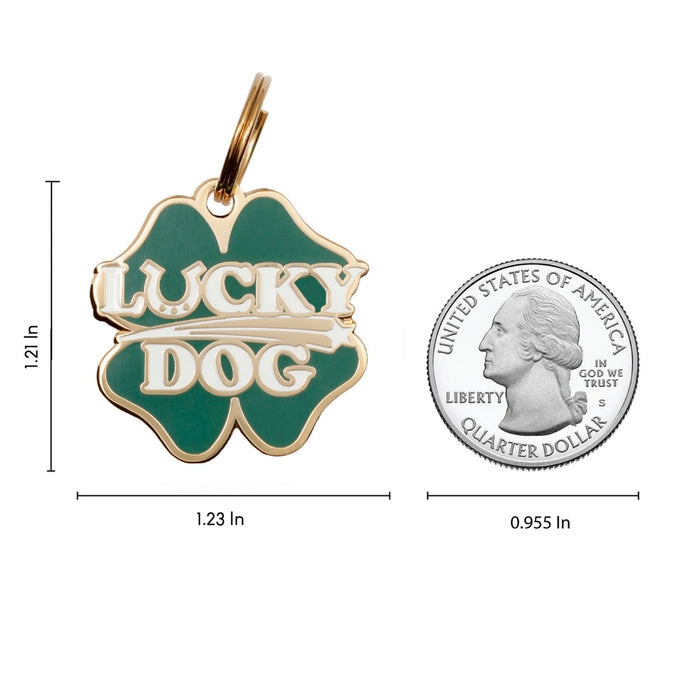 Lucky Dog Pet ID Tag