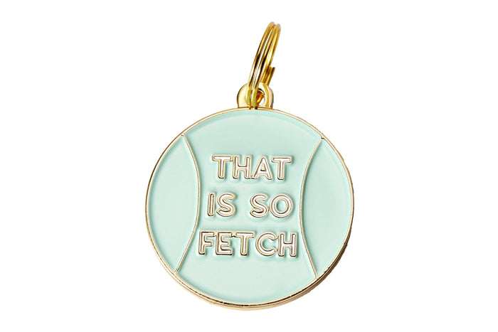 That is So Fetch Pet ID Tag