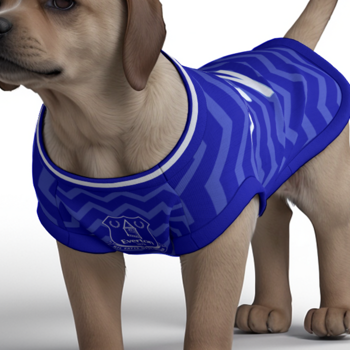 Everton FC 25/26 Home Kit Inspired Personalized Tank