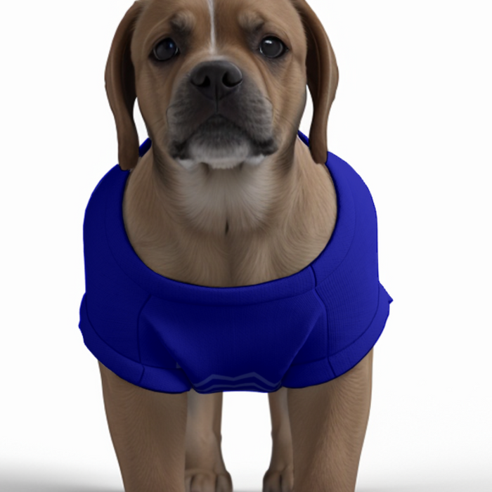 Everton FC 25/26 Home Inspired Graphic Pet Tee Shirt (Size M-2x)