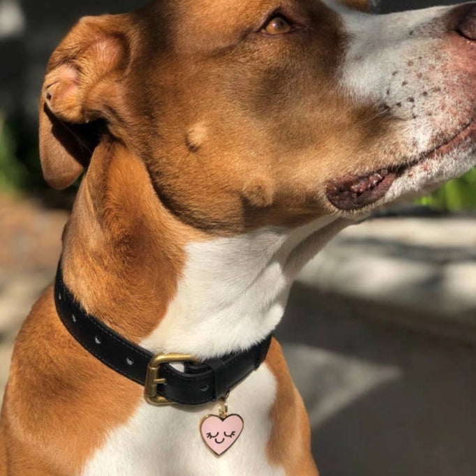 Smiling Heart Pet ID Tag