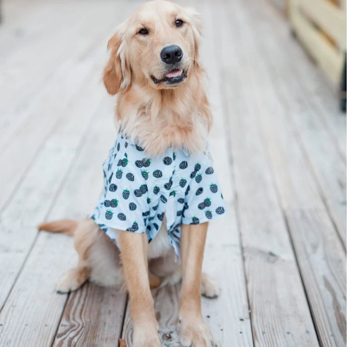 Blackberries Hawaiian Camp Shirt
