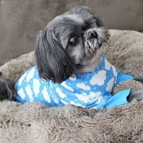 CuddlePup Blue Fluffy Clouds Dog Pajamas