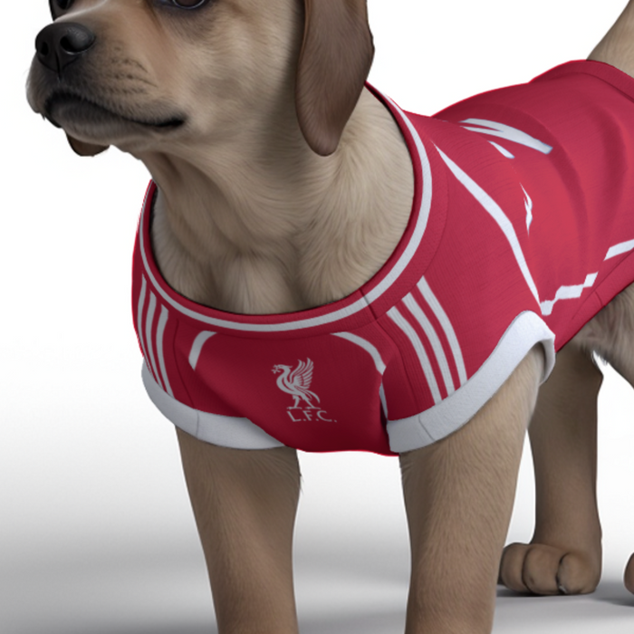 Liverpool FC 25/26 Home Kit Inspired Personalized Tank