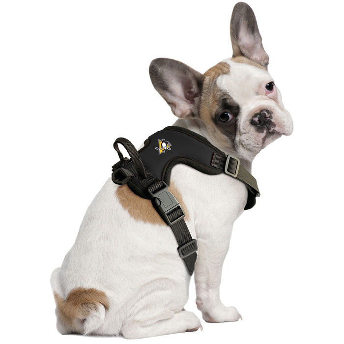 Pittsburgh Penguins Front Clip Harness