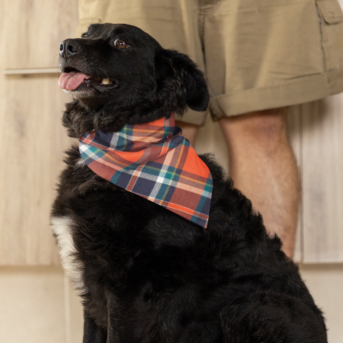 Orange Navy Plaid Bandana