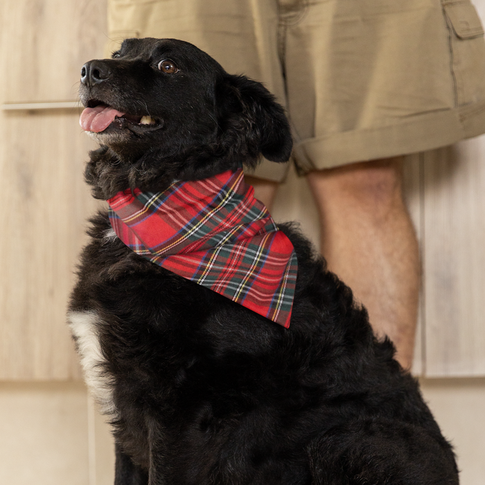 Red Plaid III Bandana