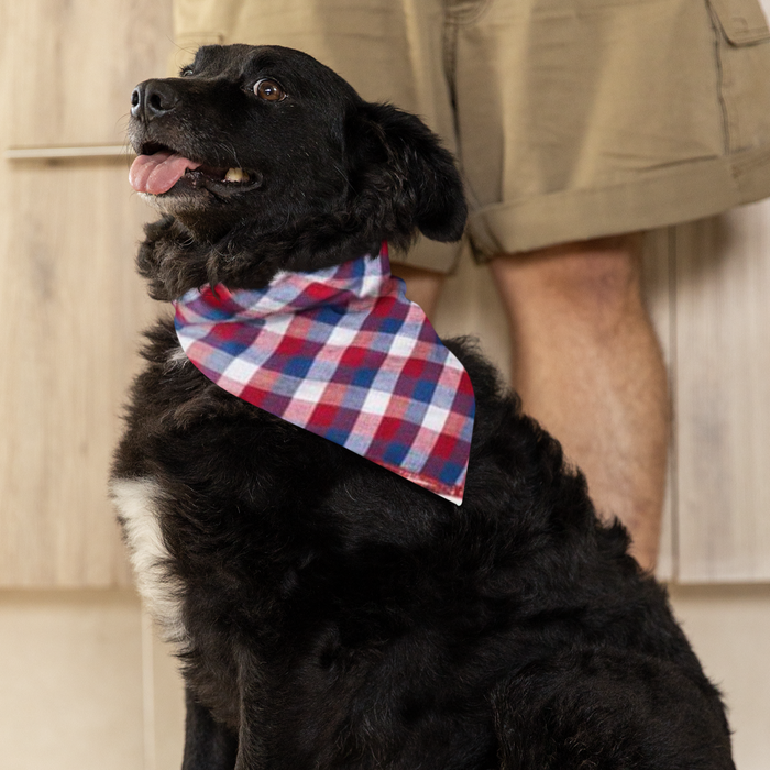 Red White Blue Check Bandana