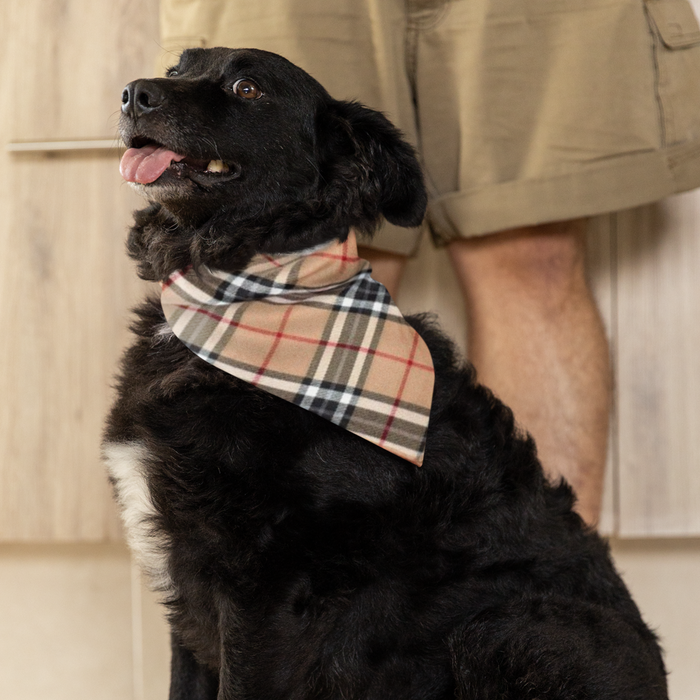 Tan Plaid Bandana