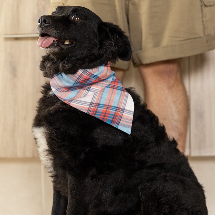 Cornflower Blue Plaid Bandana