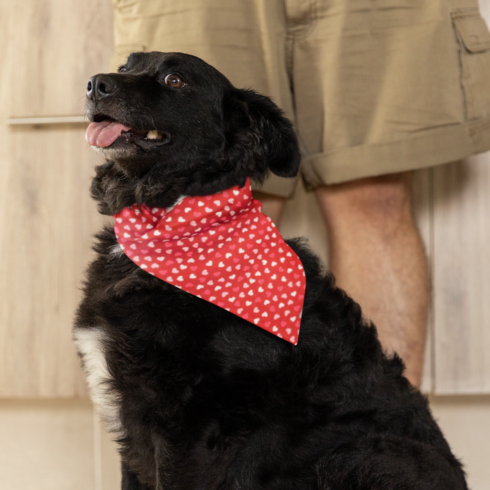 Cupid Bandana