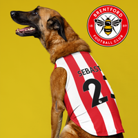 Brentford FC Inspired Personalized Jersey Tank