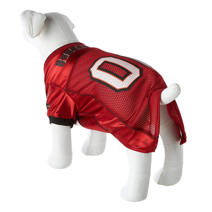 Tampa Bay Buccaneers Pet Jersey - 3 Red Rovers