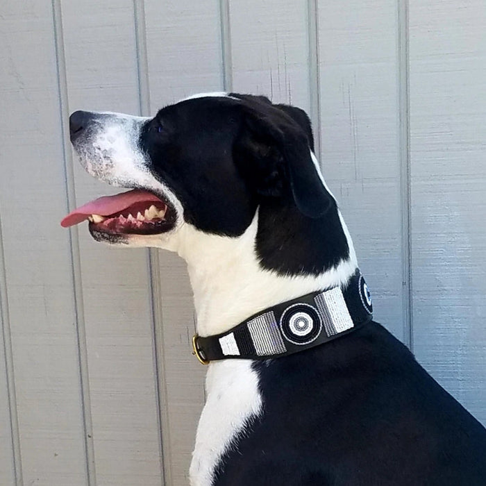 TKC Shades of Grey Beaded Dog Collar