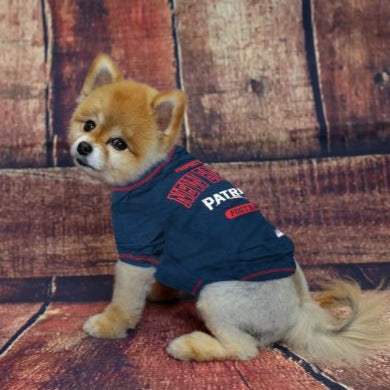 Patriots hotsell dog apparel