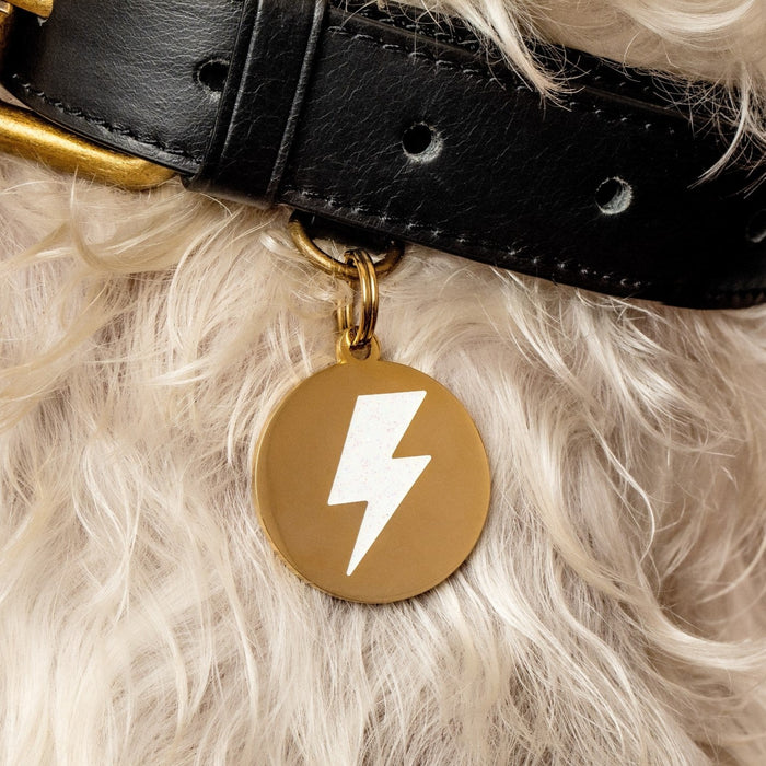Lightning White Glitter Pet ID Tag - Gold - 3 Red Rovers