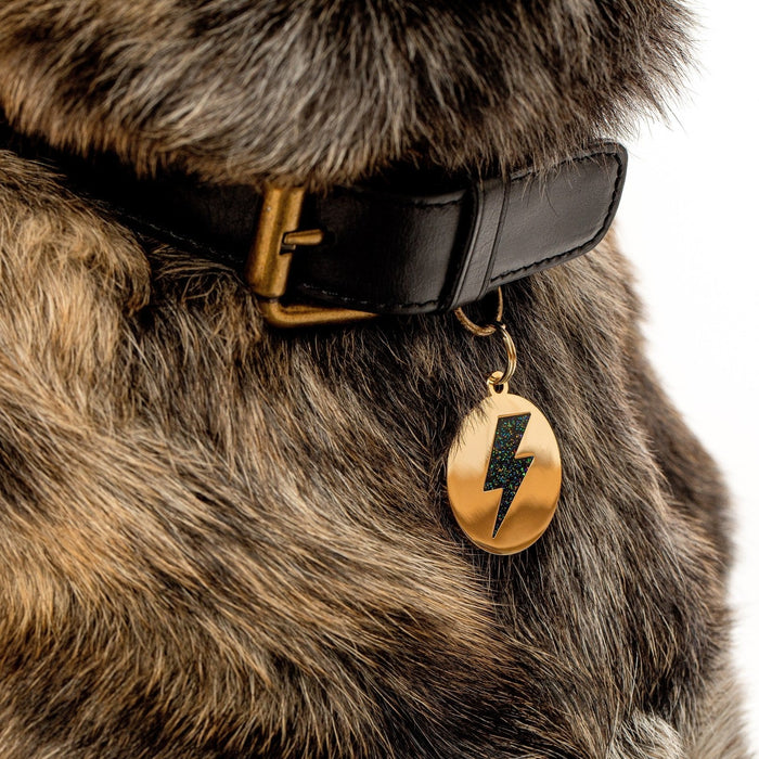 Lightning Black Glitter Pet ID Tag - Gold - 3 Red Rovers
