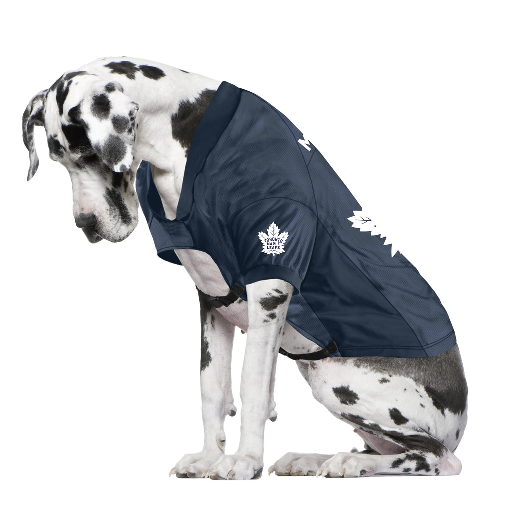 leafs dog jersey