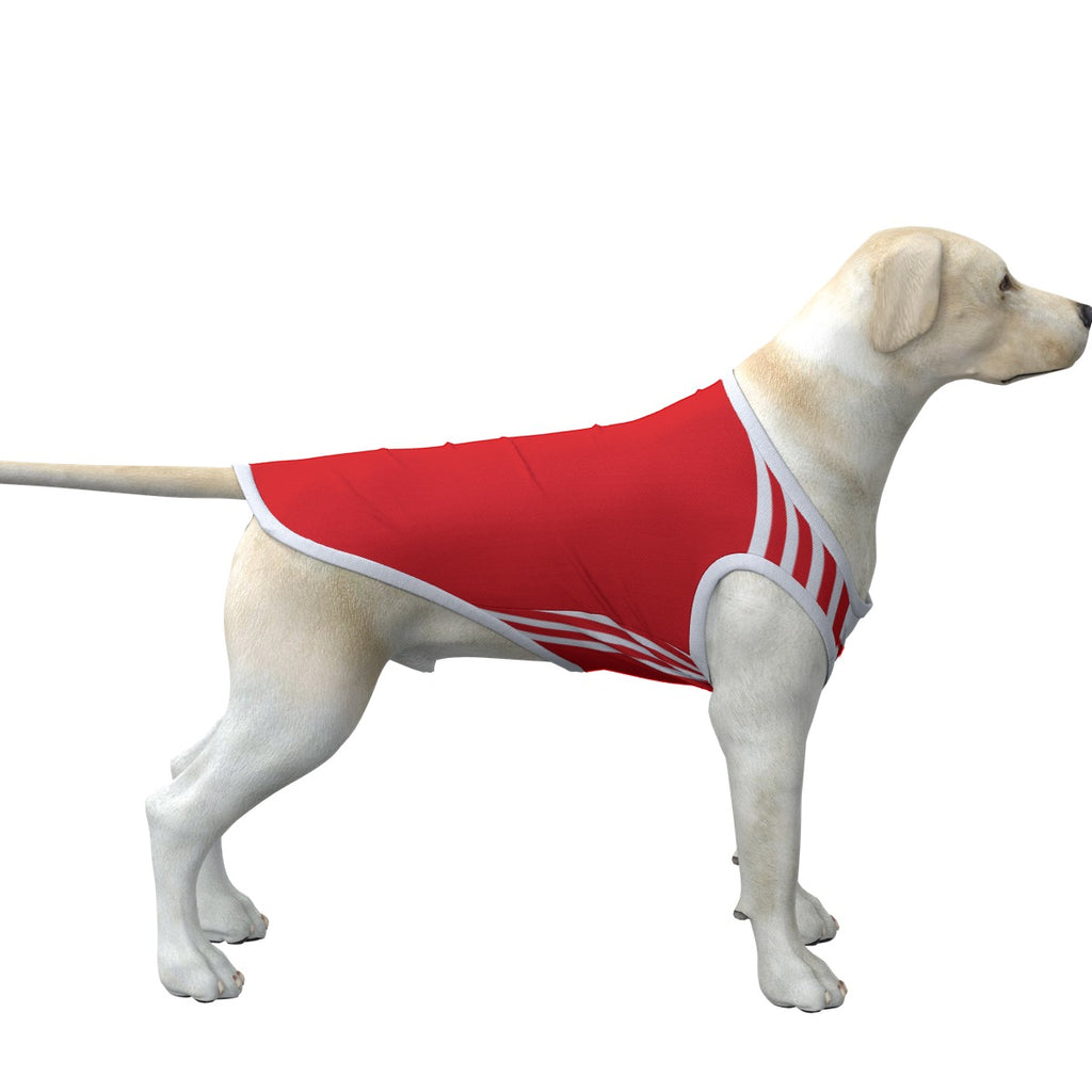 Arsenal FC Pet Gear – 3 Red Rovers