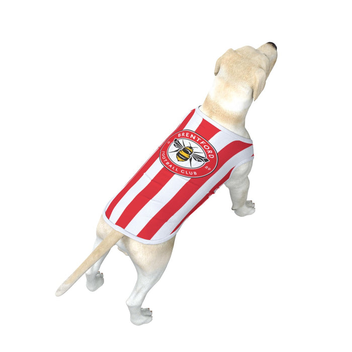 Brentford FC 23 Home Inspired Pet Tee (Size M-2x) - 3 Red Rovers