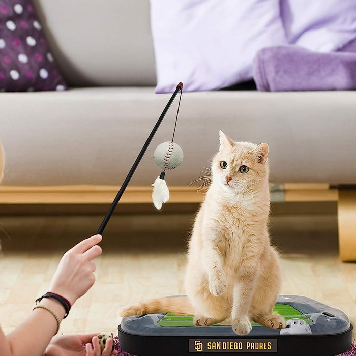 San Diego Padres Baseball Cat Scratcher Toy