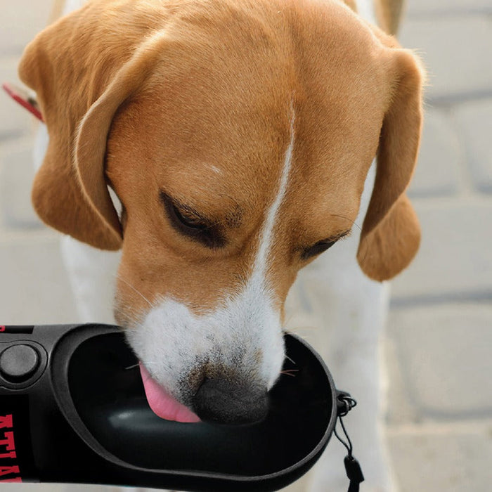 Atlanta Falcons Pet Water Bottle - 3 Red Rovers