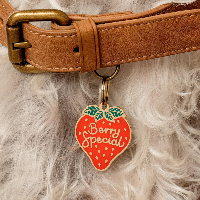 Berry Special Pet ID Tag - 3 Red Rovers