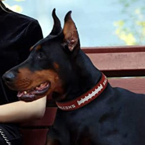 Atlanta Falcons Pro Dog Collar - 3 Red Rovers