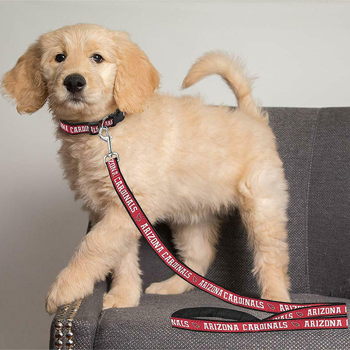 AZ Cardinals Dog Collar or Leash - 3 Red Rovers