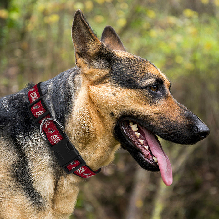 AZ Coyotes Dog Collar and Leash - 3 Red Rovers