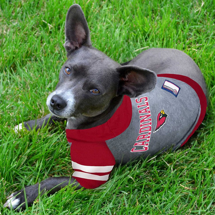 AZ Cardinals Lightweight Pet Hoodie - 3 Red Rovers