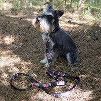 Acadia National Park Hiker Leash - 3 Red Rovers