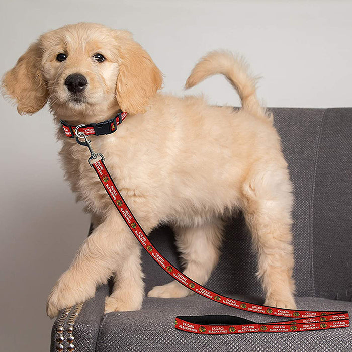 Chicago Blackhawks Dog Collar or Leash - 3 Red Rovers