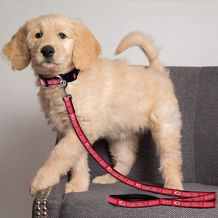 Cincinnati Reds Dog Collar or Leash - 3 Red Rovers