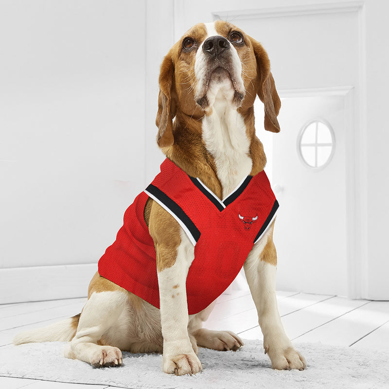 Chicago Bulls Pet Jersey - 3 Red Rovers