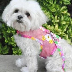 Pink Hawaiian Floral Cool Mesh Harness with Leash