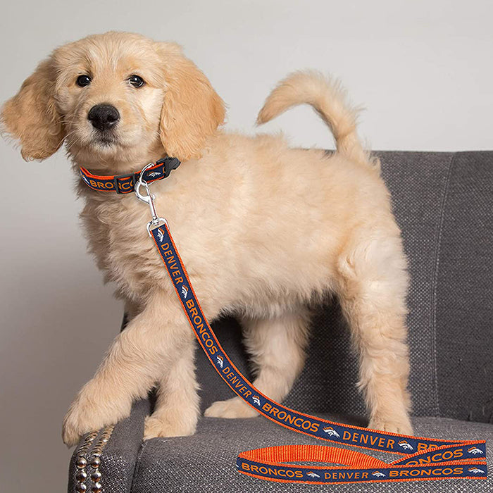 Denver Broncos Dog Collar or Leash - 3 Red Rovers