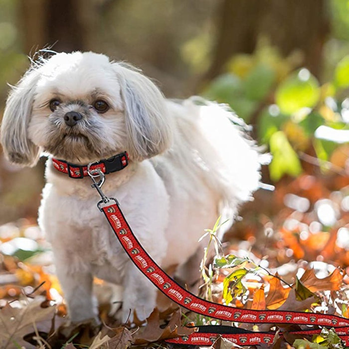 Florida Panthers Dog Collar or Leash - 3 Red Rovers