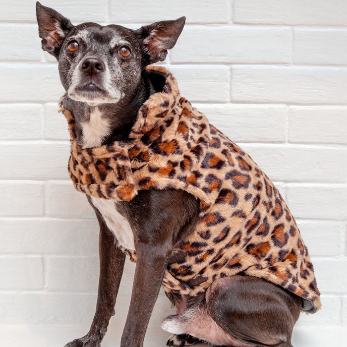 Leopard Fur-Faux Coat - 3 Red Rovers