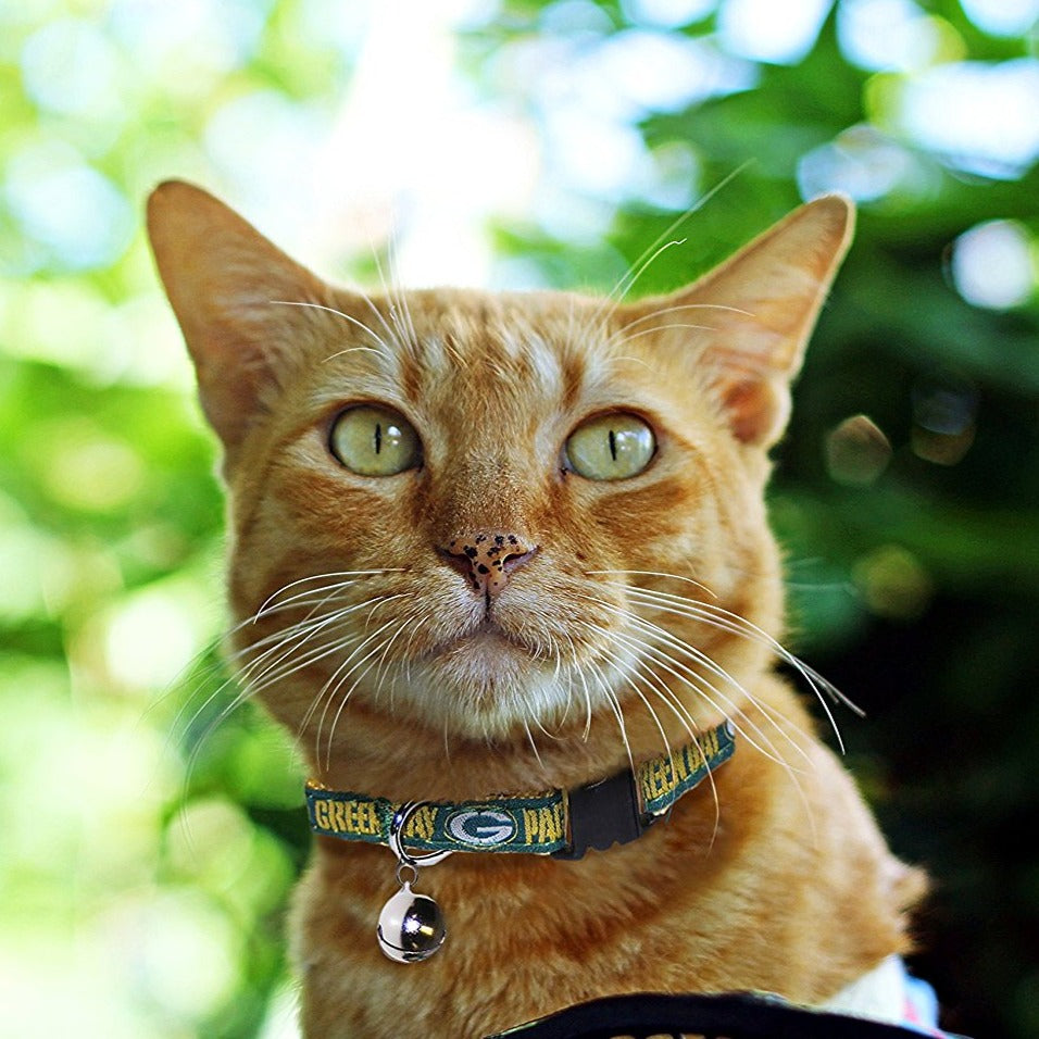 Packers Cat Collar