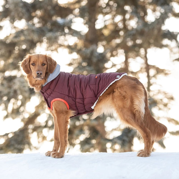 Winter Sailor Parka - Burgundy - 3 Red Rovers