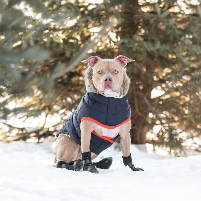 Winter Sailor Parka - Navy - 3 Red Rovers