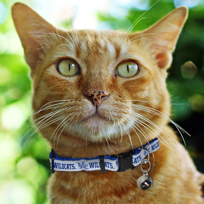 KY Wildcats Cat Collar - 3 Red Rovers