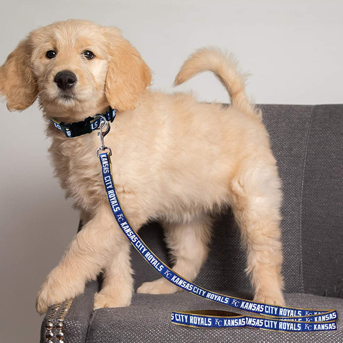 Kansas City Royals Dog Collar or Leash - 3 Red Rovers