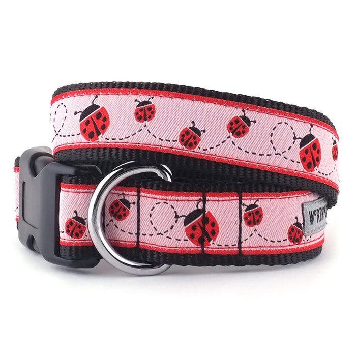 Ladybug Collection Dog Collar or Leads - 3 Red Rovers