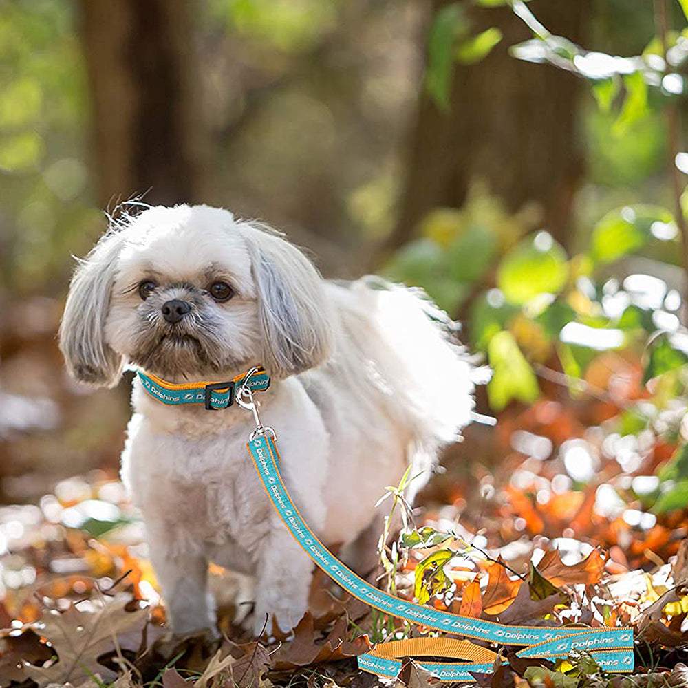 Miami Dolphins Pet Leash