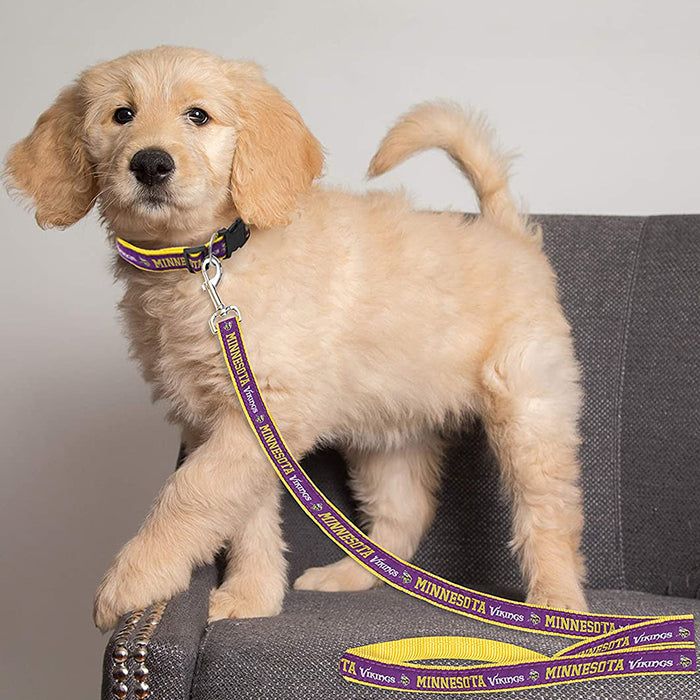 Minnesota Vikings Dog Collar or Leash - 3 Red Rovers