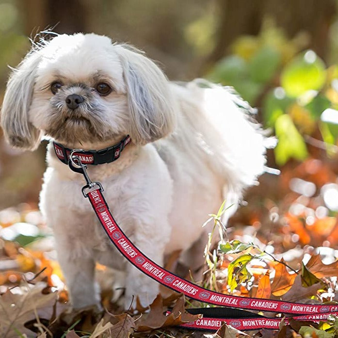 Montreal Canadiens Dog Collar or Leash - 3 Red Rovers