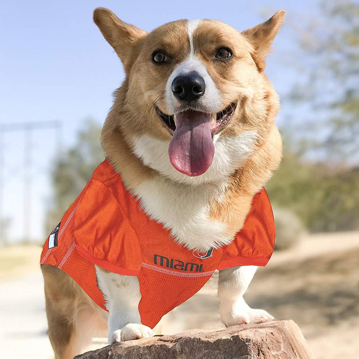 MIA Hurricanes Pet Jersey - 3 Red Rovers